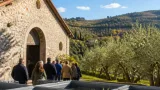 Proposta di legge per l'oleoturismo in Piemonte: obiettivo recuperare terreni e valorizzare frantoi