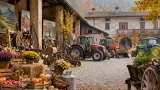 San Secondo, dall’8 novembre un mese di iniziative dedicate alle tradizioni rurali