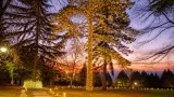 Piossasco, nel Parco di Villa Alfano apre il Giardino Incantato
