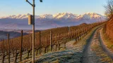 Anticiclone subtropicale sul Piemonte: notti con brina e minime localmente sotto 0 °C, zero termico in rialzo sulle Alpi