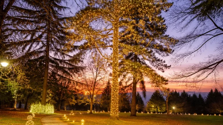 Piossasco, nel Parco di Villa Alfano apre il Giardino Incantato